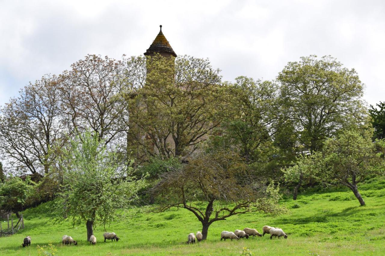 Casa Rural Galain Lizaso Εξωτερικό φωτογραφία